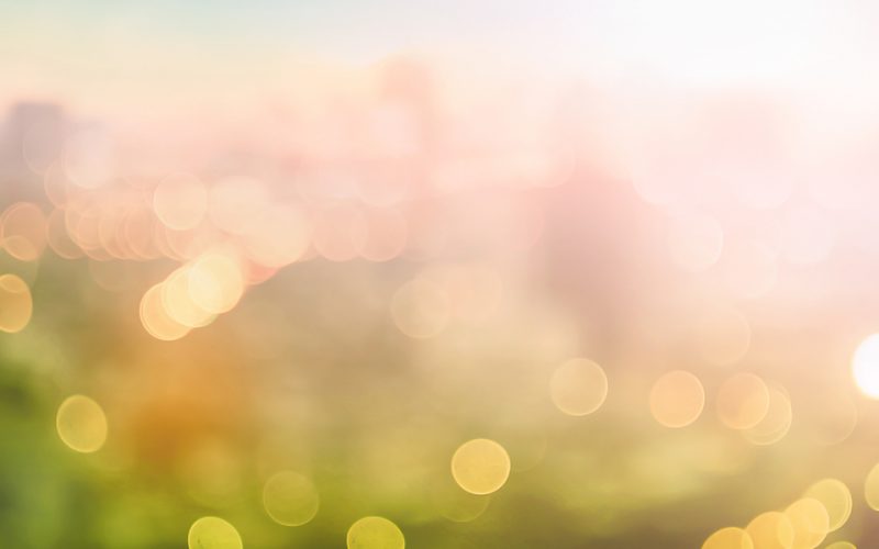 HillPDA Melbourne receives 2013 TAS PIA Planning Award