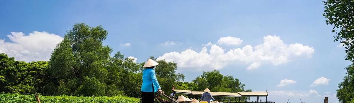 Mekong Vietnam