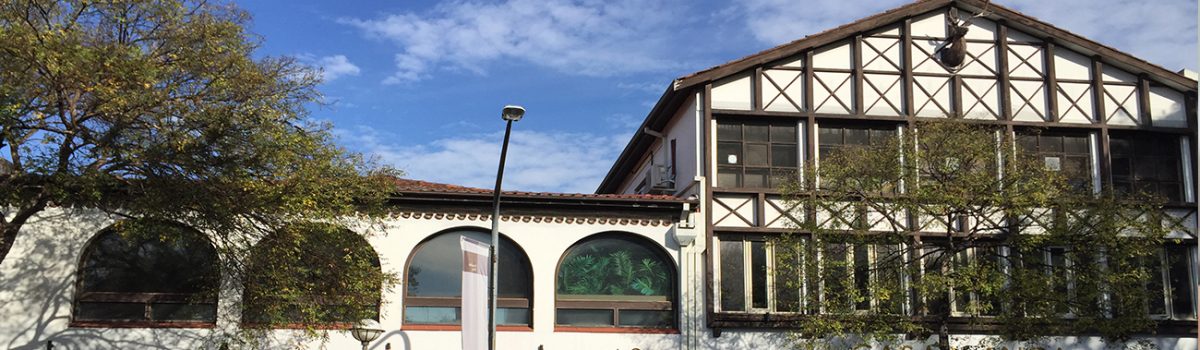 Double Bay Town Centre