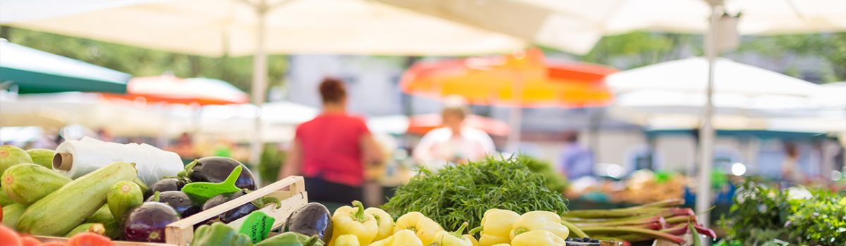 City of Canterbury Bankstown