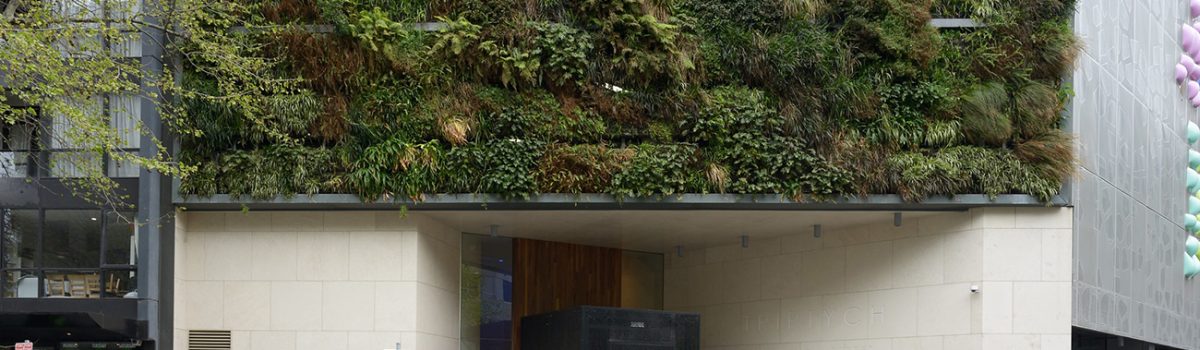 Green Our City Action Plan