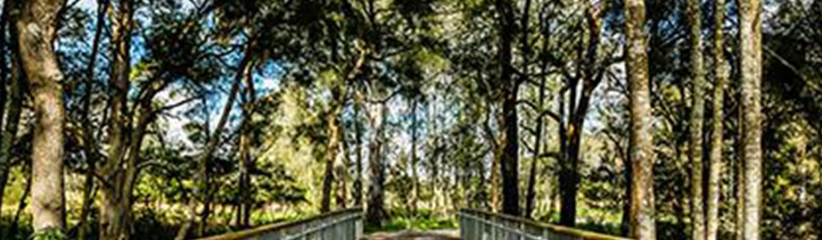 Cumberland Plain Conservation Plan