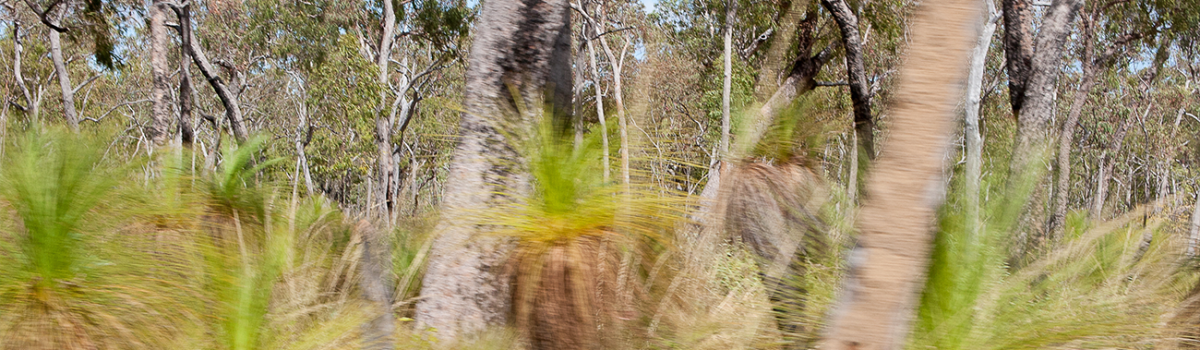 Aboriginal Land SEPP