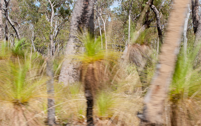 Aboriginal Land SEPP