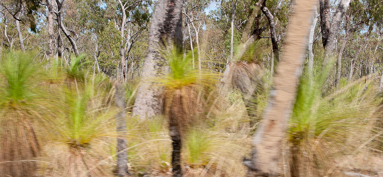 Aboriginal Land SEPP